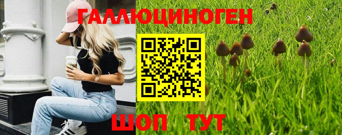 Галлюциногенные грибы прущие грибы  Вход с VPN  Галлюциногенные грибы Cubensis  Туапсе 